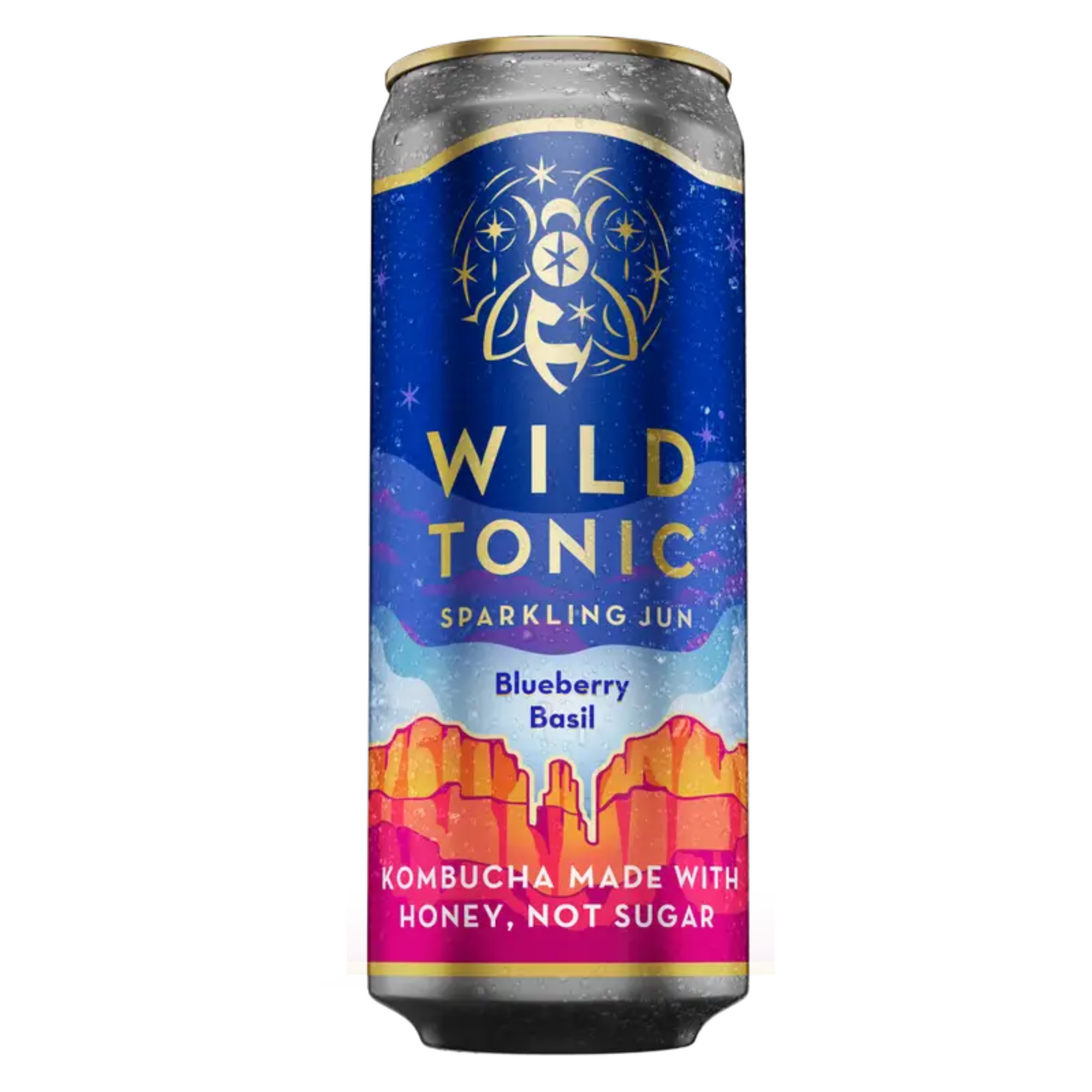 Wild Tonic Blueberry Basil 12oz CAN
