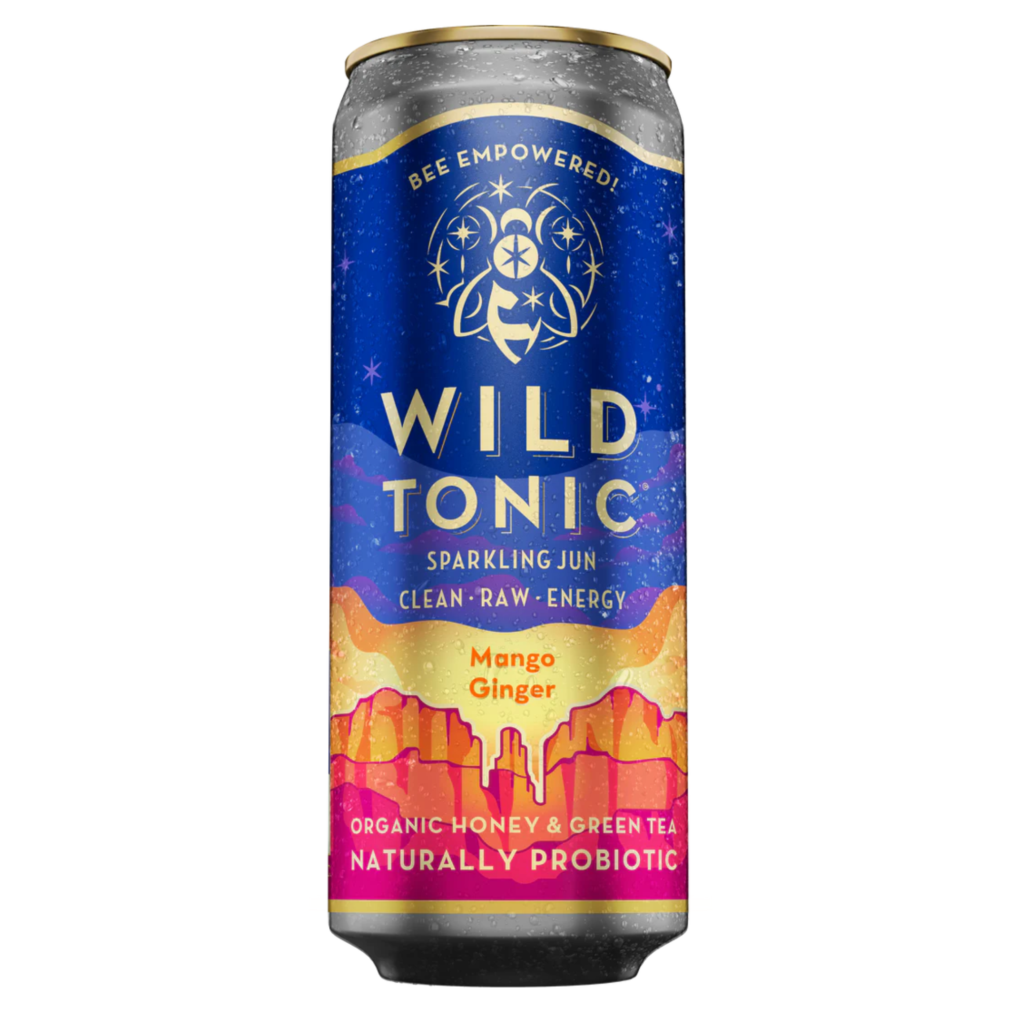 Wild Tonic Mango Ginger 12oz CAN