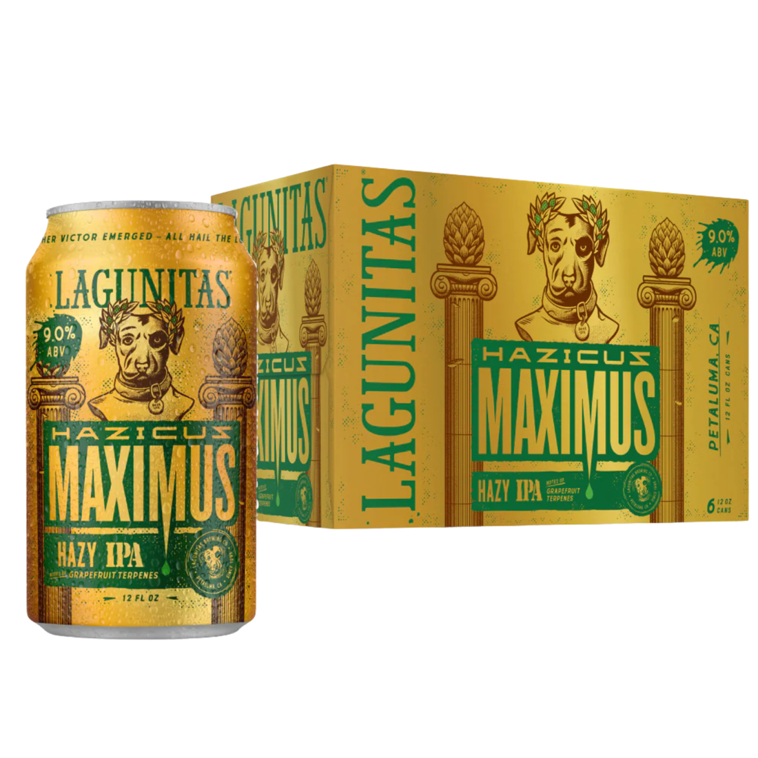 Lagunitas Hazicus Maximus HIPA 6 Pack | 12oz Cans