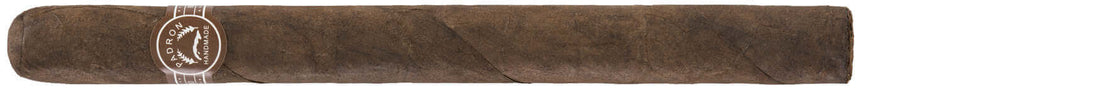Padron 1964 Ambassador Natural cigar displaying Nicaraguan sun-grown wrapper, rich cedar and cocoa notes for a refined smoking experience.