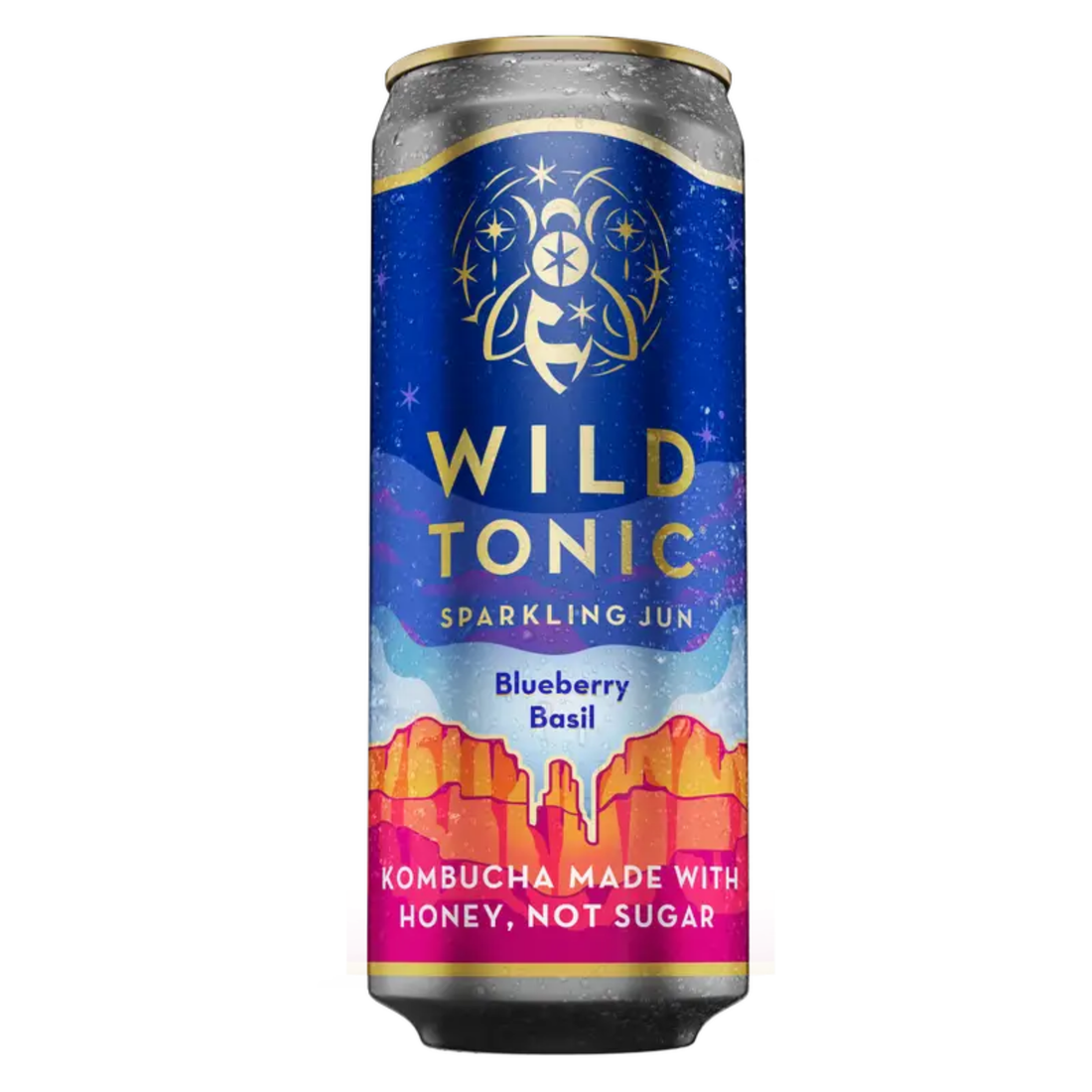 Wild Tonic Blueberry Basil 12oz CAN