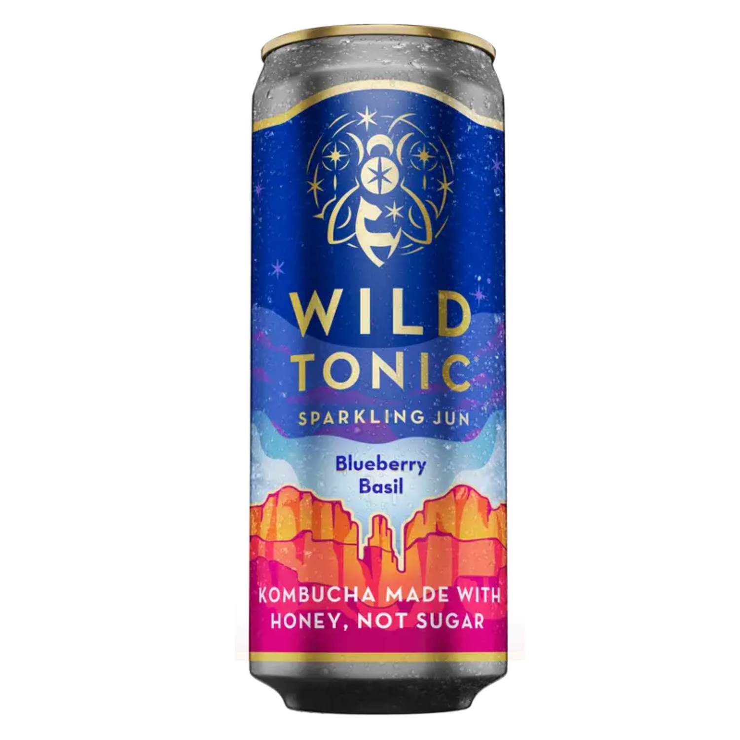 Wild Tonic Blueberry Basil 12oz CAN