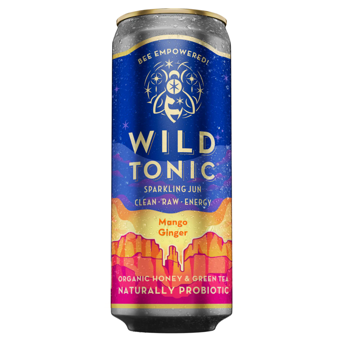 Wild Tonic Mango Ginger 12oz CAN